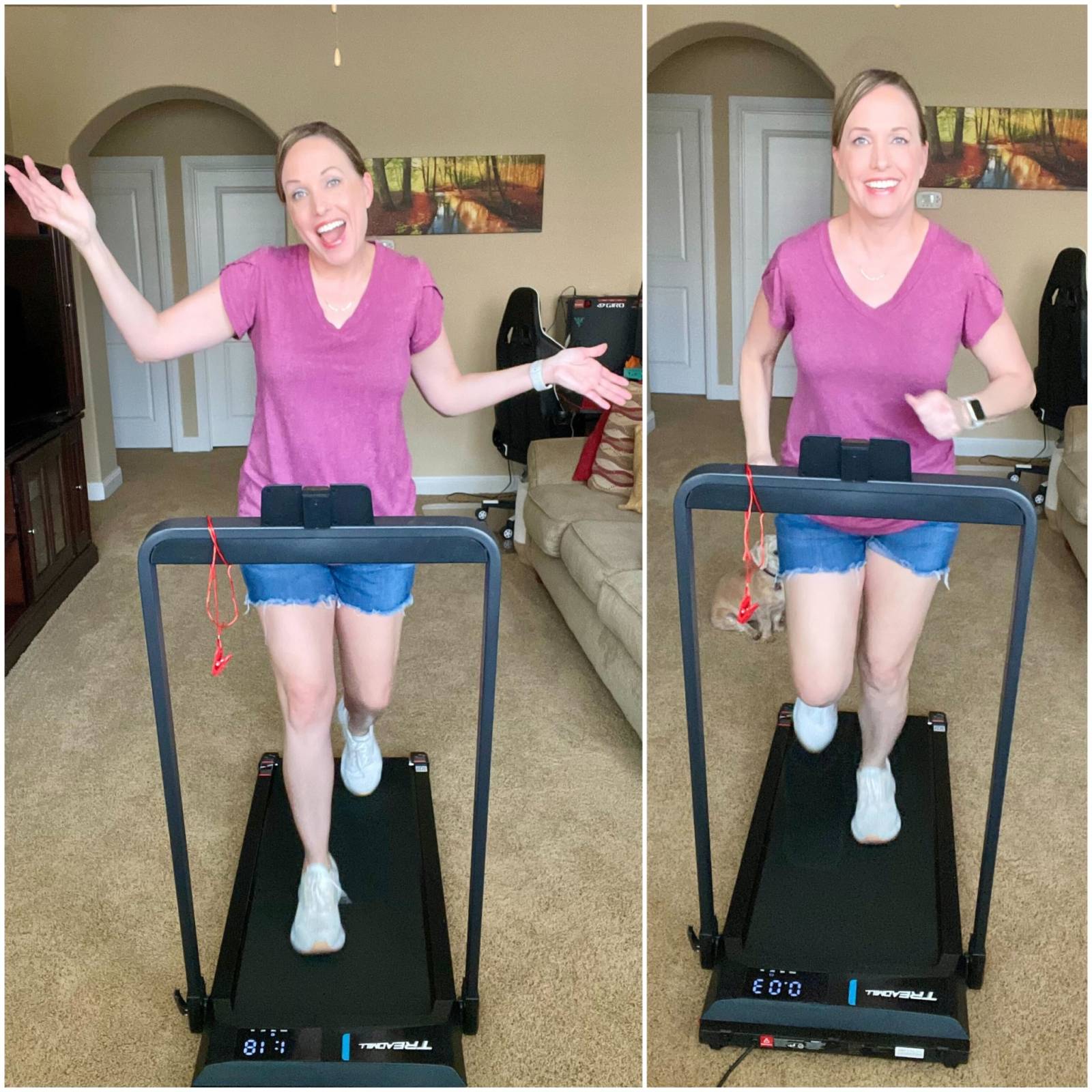 2025 Upgraded-TM010 Smart 2 in 1 Folding 10% Incline Treadmill