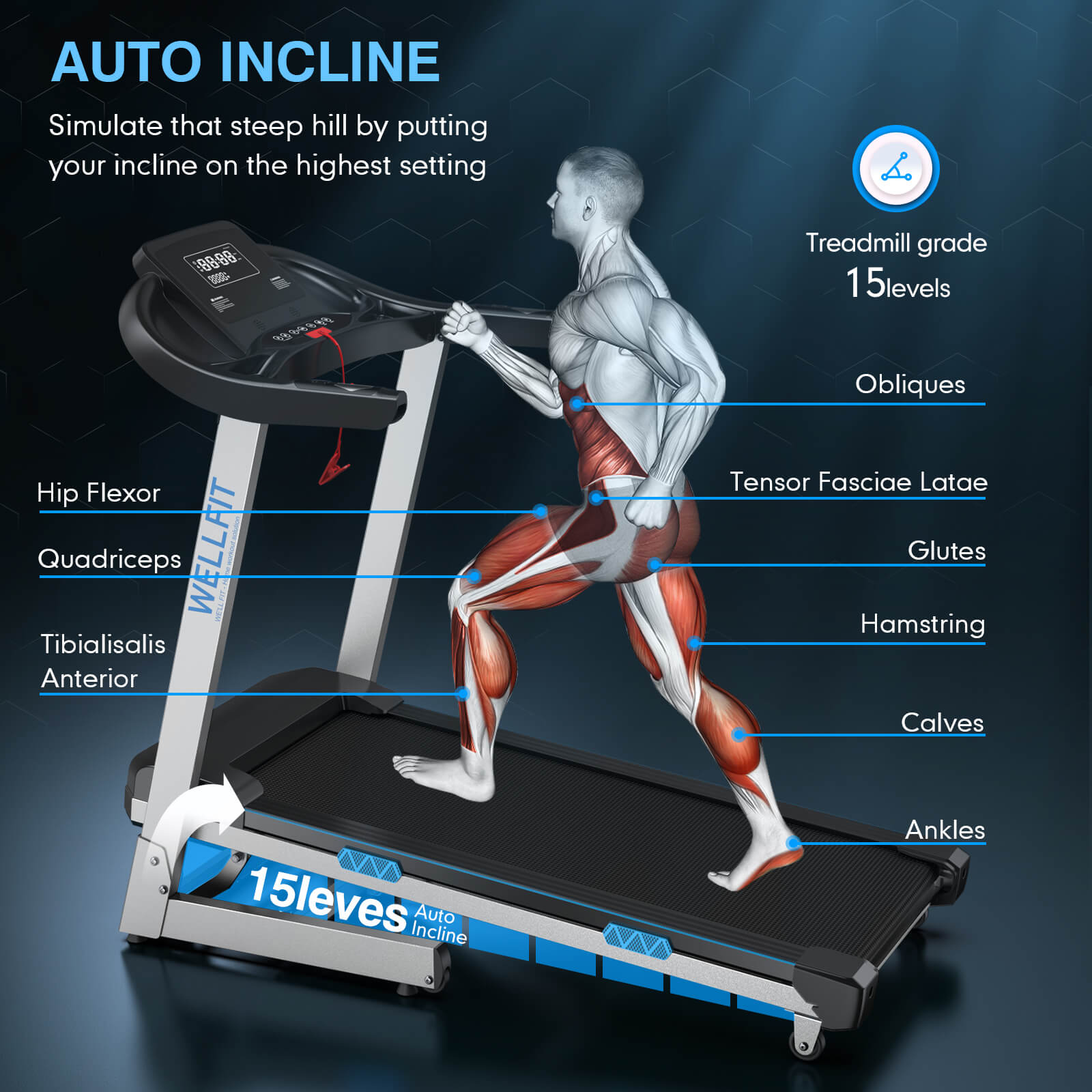 WELLFIT TM007 Foldable Auto Incline Treadmill